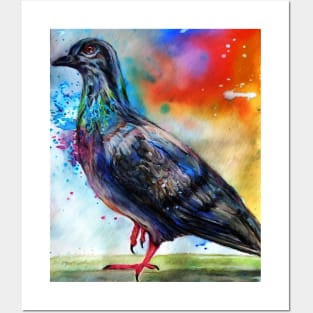 Colorful Pigeon Posters and Art